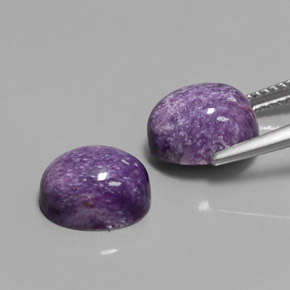 Gemas de Charoíta Violeta natural de  ct, Corte Óvalo, Opaco