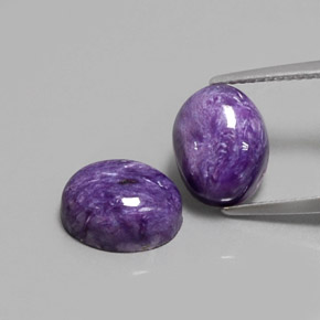 Gemas de charoíta violeta natural de  ct, corte óvalo, opaco