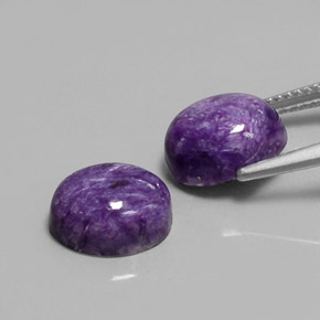Gemas de charoíta violeta natural de  ct, corte óvalo, opaco