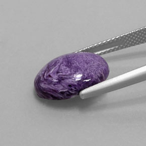 Charoíta violeta natural de 4,89 ct, corte óvalo, opaco