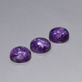 Gemas de Charoíta Violeta natural de  ct, Corte Óvalo, Opaco