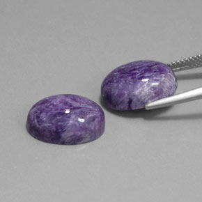 Gemas de charoíta violeta natural de  ct, corte óvalo, opaco