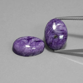 Gemas de charoíta violeta natural de  ct, corte óvalo, opaco