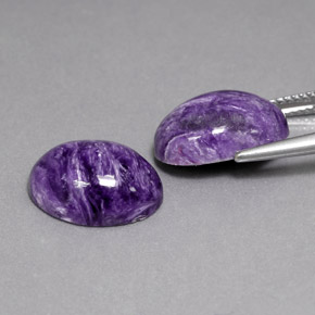 Gemas de Charoíta Violeta natural de  ct, Corte Óvalo, Opaco