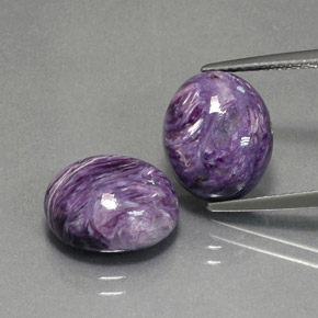 Gemas de charoíta violeta natural de  ct, corte óvalo, opaco