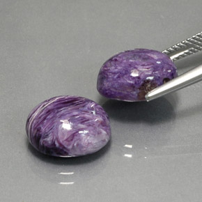 Gemas de charoíta violeta natural de  ct, corte óvalo, opaco