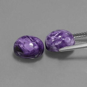 Gemas de charoíta violeta natural de  ct, corte óvalo, opaco