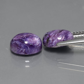 Gemas de Charoíta Violeta natural de  ct, Corte Óvalo, Opaco