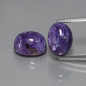Gemas de charoíta violeta natural de  ct, corte óvalo, opaco