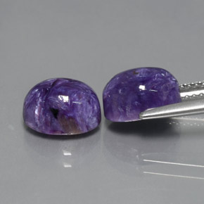 Gemas de charoíta violeta natural de  ct, corte óvalo, opaco