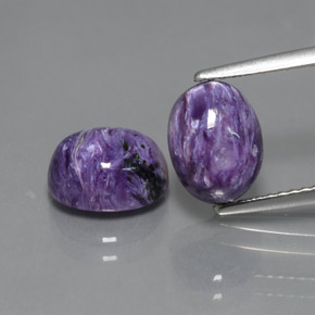Gemas de Charoíta Violeta natural de  ct, Corte Óvalo, Opaco