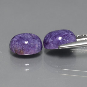 Gemas de charoíta violeta natural de  ct, corte óvalo, opaco