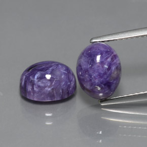 Gemas de Charoíta Violeta natural de  ct, Corte Óvalo, Opaco