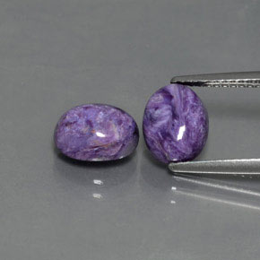Gemas de charoíta violeta natural de  ct, corte óvalo, opaco