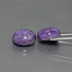 Gemas de charoíta violeta natural de  ct, corte óvalo, opaco