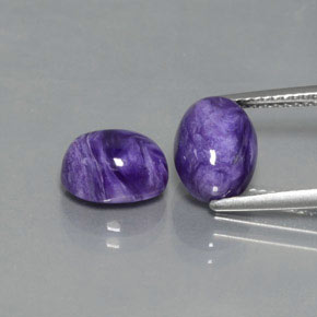 Gemas de charoíta violeta natural de  ct, corte óvalo, opaco