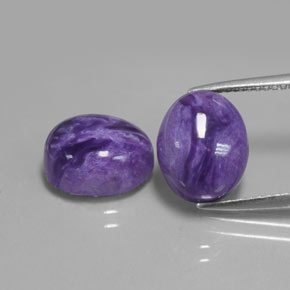 Gemas de Charoíta Violeta natural de  ct, Corte Óvalo, Opaco