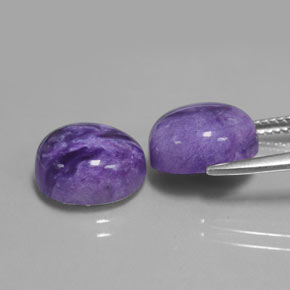 Gemas de Charoíta Violeta natural de  ct, Corte Óvalo, Opaco