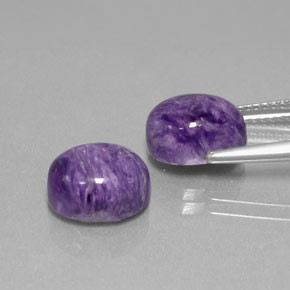 Gemas de Charoíta Violeta natural de  ct, Corte Óvalo, Opaco