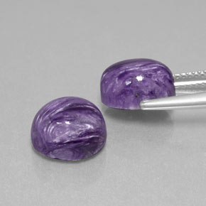 Gemas de charoíta violeta natural de  ct, corte óvalo, opaco