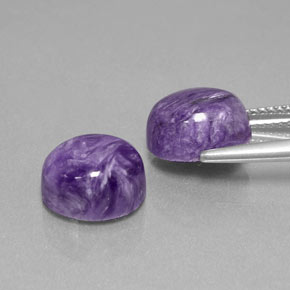 Gemas de Charoíta Violeta natural de  ct, Corte Óvalo, Opaco