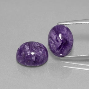 Gemas de charoíta violeta natural de  ct, corte óvalo, opaco