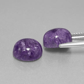 Gemas de charoíta violeta natural de  ct, corte óvalo, opaco