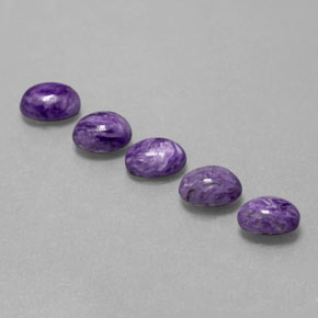 Gemas de Charoíta Violeta natural de  ct, Corte Óvalo, Opaco