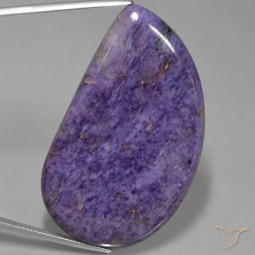 73.19ct Natural Violeta oscuro Charoita, Elegante, Opaco