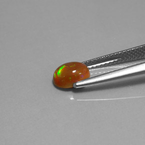 Ópalo chocolate multicolor natural de 0,63 ct, transparente, transparente / translúcido