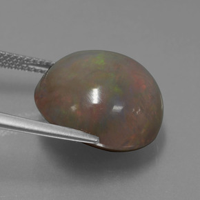 Ópalo chocolate multicolor natural de 11,31 ct, corte redondo, opaco