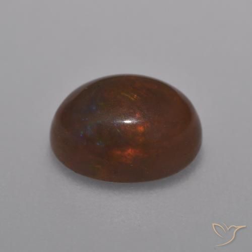 Ópalo de chocolate Multicolor natural de 1.01 ct, Ovalada, Translúcido