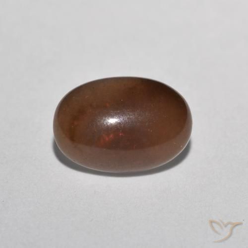 Ópalo de chocolate Multicolor natural de 0.49 ct, Ovalada, Translúcido