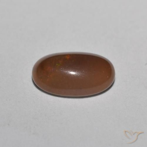 Ópalo de chocolate Multicolor natural de 0.49 ct, Ovalada, Translúcido