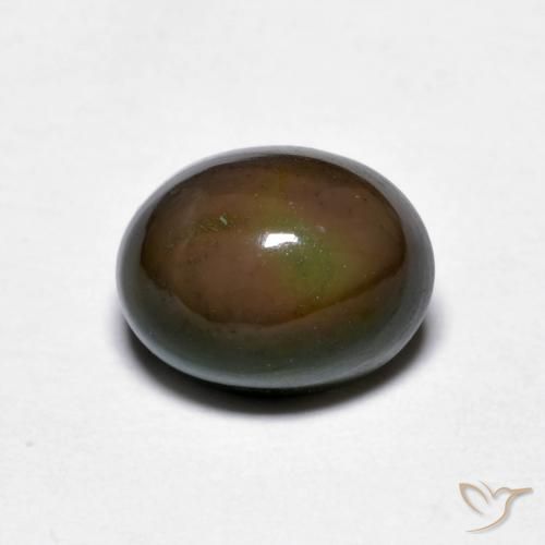 1.56ct Natural Marrón oscuro Ópalo de chocolate, Ovalada, Opaco