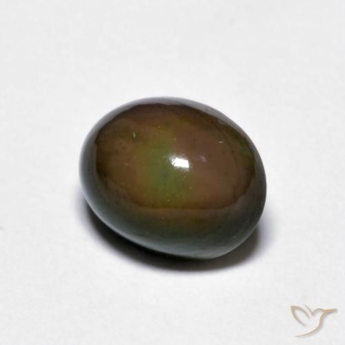 Ópalo de chocolate Marrón oscuro natural de 1.56 ct, Ovalada, Opaco