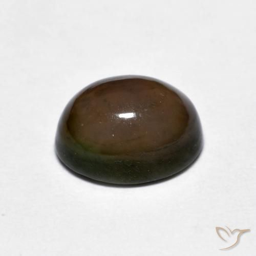Ópalo de chocolate Marrón oscuro natural de 1.56 ct, Ovalada, Opaco