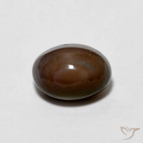 0.67ct Natural Marrón oscuro Ópalo de chocolate, Ovalada, Opaco