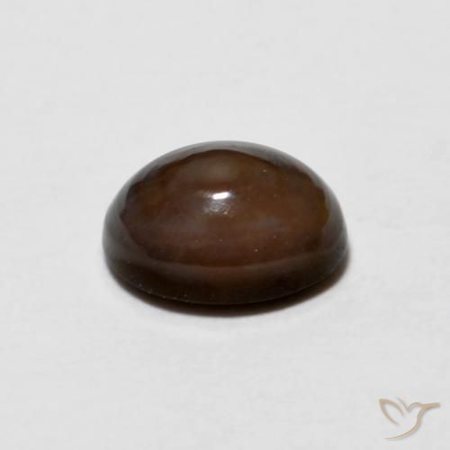 Ópalo de chocolate Marrón oscuro natural de 0.67 ct, Ovalada, Opaco