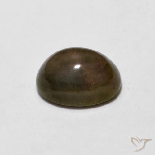 Ópalo de chocolate Marrón dorado natural de 0.66 ct, Ovalada, Opaco