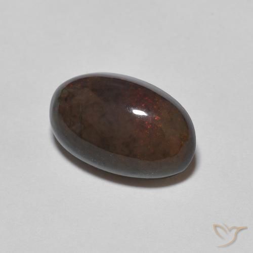 Ópalo de chocolate Marrón oscuro natural de 1.24 ct, Ovalada, Opaco