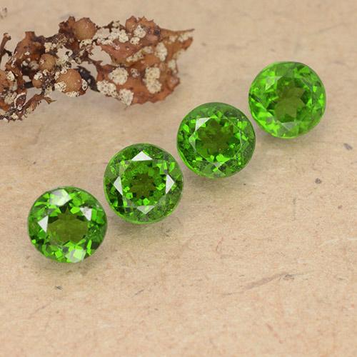 Gemas de diópsido de cromo Verde oscuro medio natural de 2.54 ct, Corte Redondo, VS
