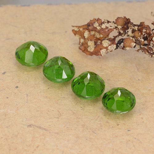 Gemas de diópsido de cromo Verde oscuro medio natural de 2.54 ct, Corte Redondo, VS