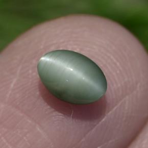 Chrysoberyl cat's eye verde natural de 0,86 ct, corte óvalo, opaco