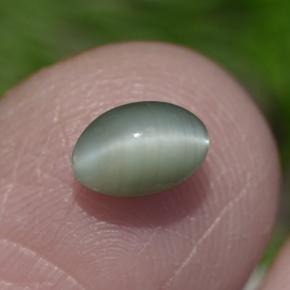 Chrysoberyl cat's eye verde natural de 0,86 ct, corte óvalo, opaco