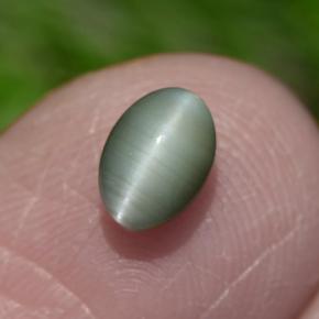 Chrysoberyl cat's eye verde natural de 0,86 ct, corte óvalo, opaco
