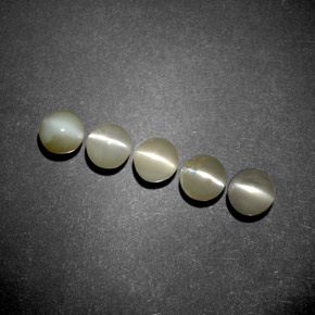 Gemas de chrysoberyl cat's eye verde natural de  ct, transparente, transparente / translúcido