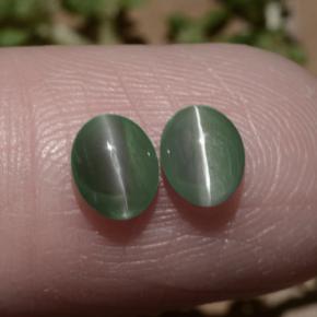Gemas de chrysoberyl cat's eye verde natural de 1,06 ct, corte óvalo, translúcido