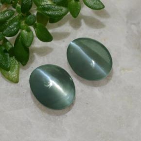 Gemas de Crisoberilo Ojo de Gato Verde natural de 0.99 ct, Corte Óvalo, Translúcido