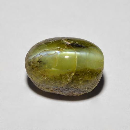 Chrysoberyl cat's eye verde natural de 3,69 ct, corte óvalo, opaco